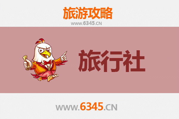 聊城东阿本地旅行社推荐及深度游玩攻略