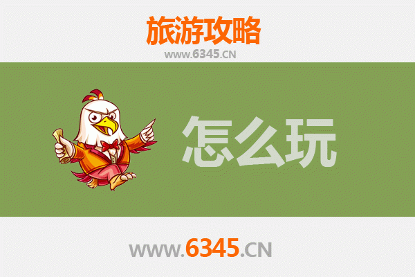 节假日玩转聊城东阿：阿胶文化与运河古韵的深度体验之旅